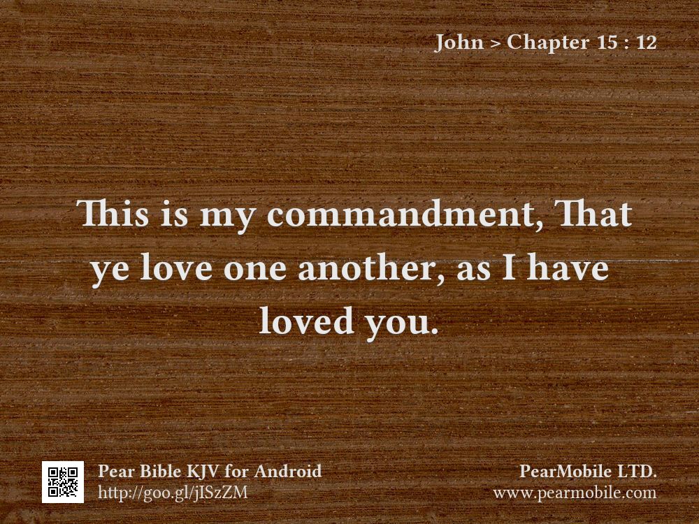 John, Chapter 15:12